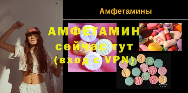 прущие крисы Ельня