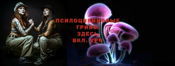 гашик Елизово