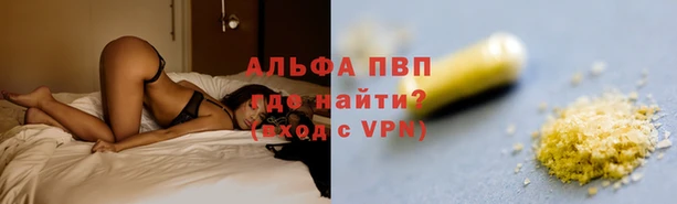 гашик Елизово