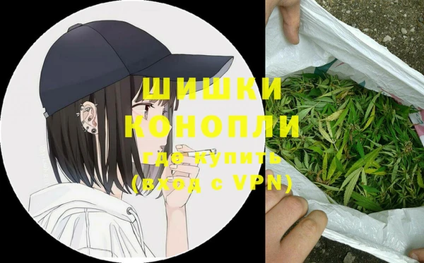 гашик Елизово