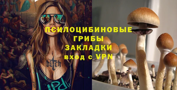 прущие крисы Ельня
