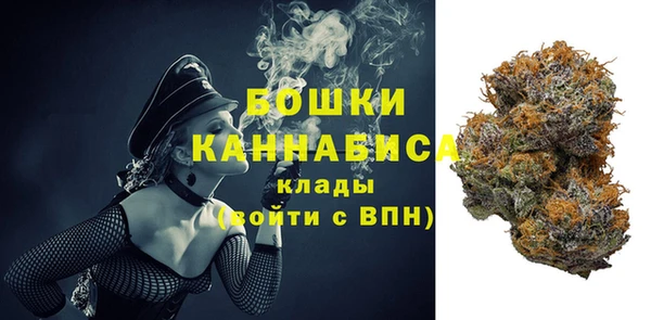 прущие крисы Ельня