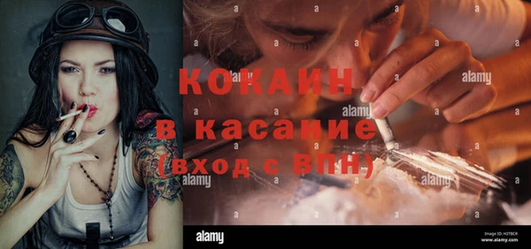 прущие крисы Ельня